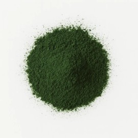 Chlorella Orgánica En Polvo 1 Kg Vizana Nutrition