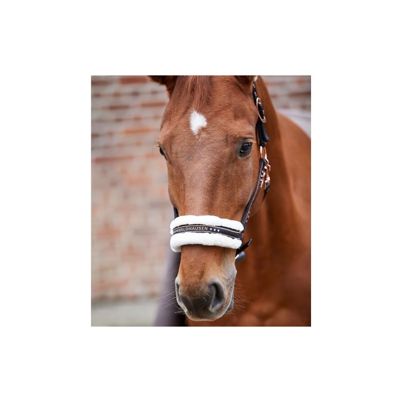 Waldhausen XWB Elegant Headcollar Black/Rose Gold