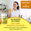Vegs Pineapple Juice Powder - Freeze Dried Organic Pineapple Powder