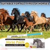 Equine Paste 1.87% – 12 Pack (6.08g) Apple Flavored Oral
