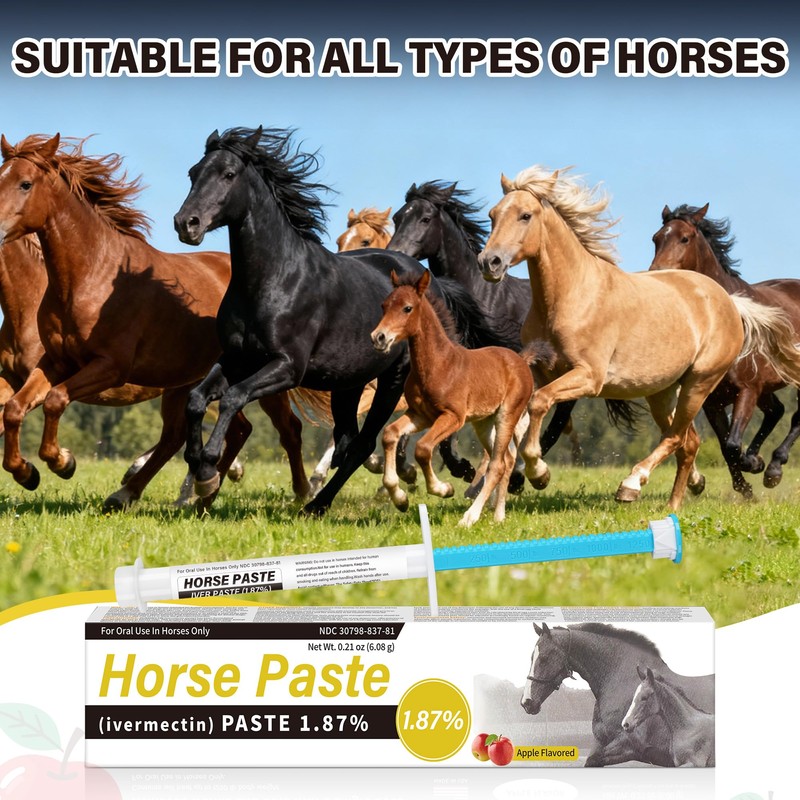 Equine Paste 1.87% – 12 Pack (6.08g) Apple Flavored Oral