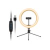 10in USB Desktop Ring Light with 3 Color Modes/10 Brightness