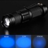 Blue Torch, WESLITE LED Torch Blue Light Mini Torches with