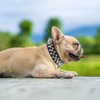 Spiked Dog Collar Soft PU Leather Rivet Spike Puppy Collar