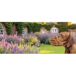 JorVet Nylon Basket Muzzle #7 | Soft, Adjustable & Breathable | Comfortable Fit for All Dogs | Prevents Biting | Ideal for Walks, Vets & Grooming | Beige