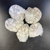 Waka Sterilized Clean Oyster Shells 5 Bags Aquarium Filter Material