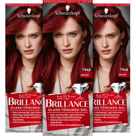Schwarzkopf Brilliance T868 Garnet Level 1 (3 x 60ml) Tint Gel / 슈바르츠코프 브릴리언스 T868 Garnet Level 1 (3 x 60ml) 틴트젤
