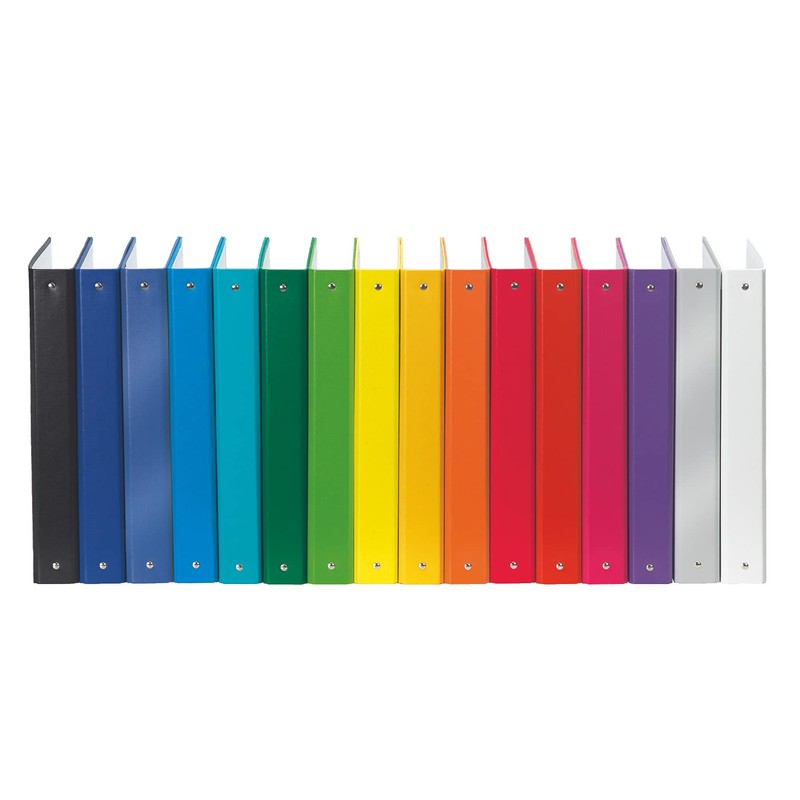 Esselte Ring Binder