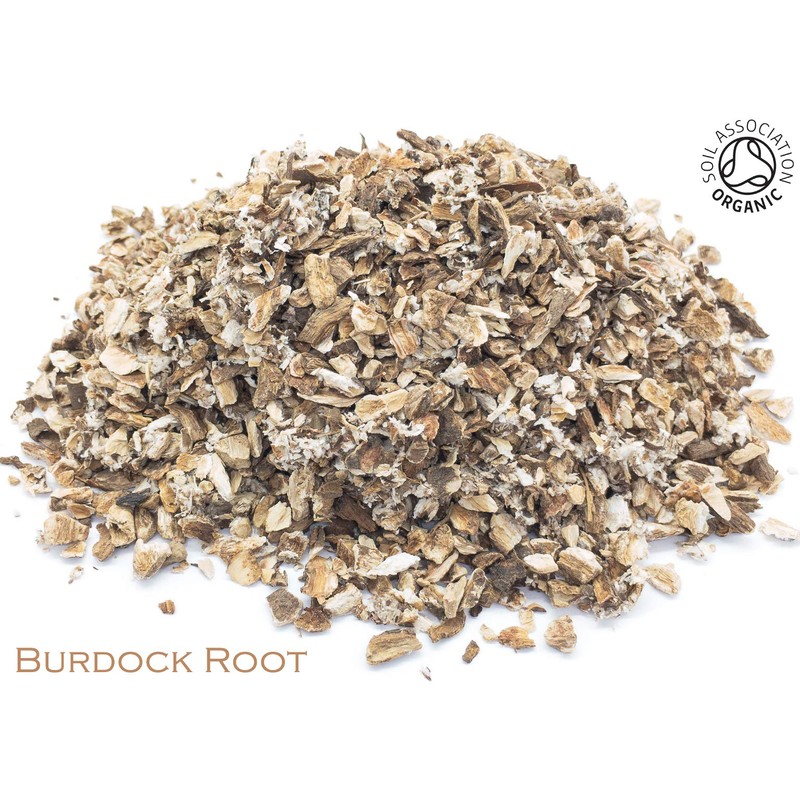 Organic Burdock Root Pure Herbal Infusion (25 Unbleached Tea Bags