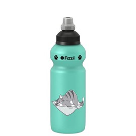 Fizzii Drinking Bottle 500 ml + Lunch Box with Fruit / Vegetable Compartment (Non-Toxic, Dishwasher Safe, Mint Cat)