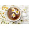 Cha4Tea 36-Count Pure Camomile Herbal Tea Pods Compatible with Keurig
