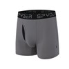 Spyder Mens Boxer Briefs Performance Nylon Mesh Sports Underwear With