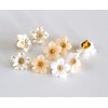 GANSSIA Flower Buttons for Sewing Plastic Craft Button 13mm(0.52 inch)