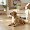 Hiflora 6" H Under Bed Blocker for Pets, 5-Pack |