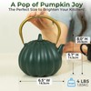 SKIKEN Pumpkin Cast Iron Teapot with Infuser - Japanese Kettle