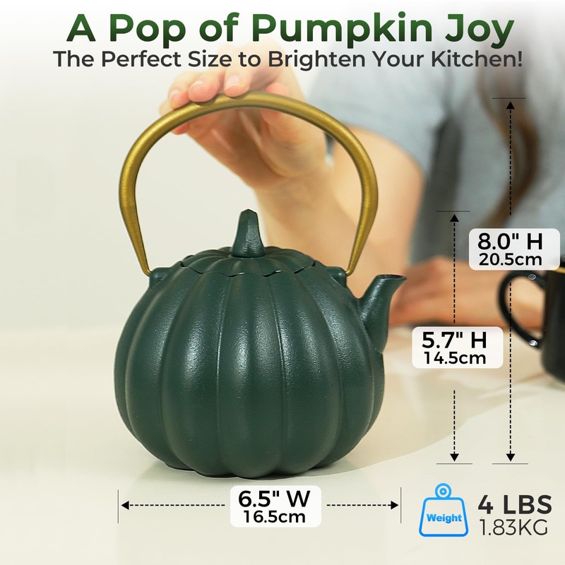 SKIKEN Pumpkin Cast Iron Teapot with Infuser - Japanese Kettle