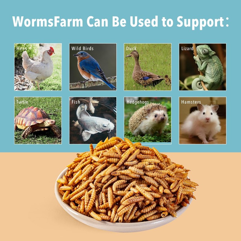10lb Dried Black Soldier Fly Larvae Treat for Chickens More