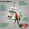 Creatina Vegana Creanature Purely Organics 90 Cápsulas Sin Sabor