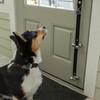 Caldwell's Pet Supply Co. Dog Potty Bells, Dog Door Bell,