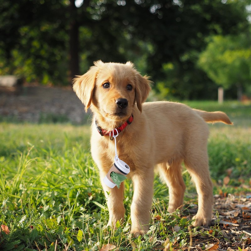 Hundekotbeutelspender mit Kaffee-Design, tragbarer Haustierspender, Hundekotbeutelspender für Hunde, zum Gehen,