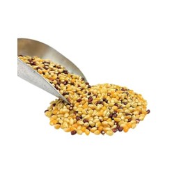 Tri-Color Popcorn Kernels, Organic, Gluten-Free Snack, 25 lb