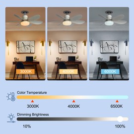 We Charger Socket Fan Light, 20.5IN Light Bulb Fan with Remote Dimmable, Screw in Fan and Light Combo for Garage Kitchen Bedroom Balcony Living Tools Store Laundry Room