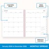 Blue Sky 2026 Weekly and Monthly Planner Calendar, January 2026