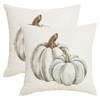 SHAPTOY Fall Autumn White Pumpkin Throw Pillow Covers 16x16 Inch