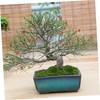 STOBOK 1pc Artificial Mossy Stone for Micro Landscape Decoration Green