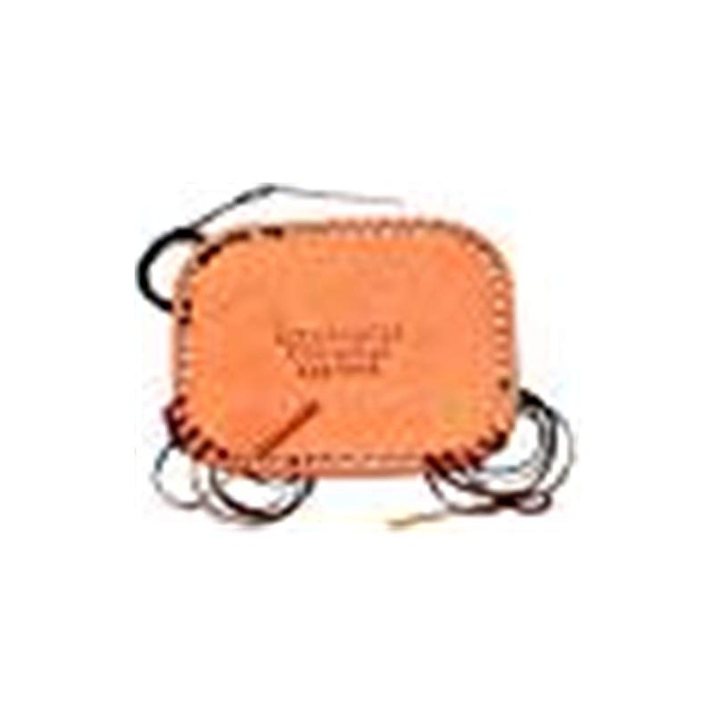 Allen Cognitive Level Screen