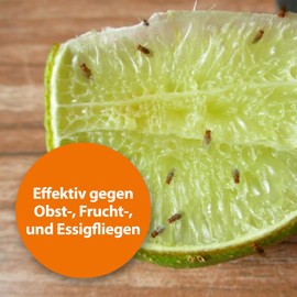 ARDAP Fruchtfliegenfalle 3er Pack - Obstfliegenfalle zur Reduktion von Fruchtfliegen & Essigfliegen - Hochwirksamer Lockstoff - Fruchtfliegenfalle für Küche & Co. (PT 19)