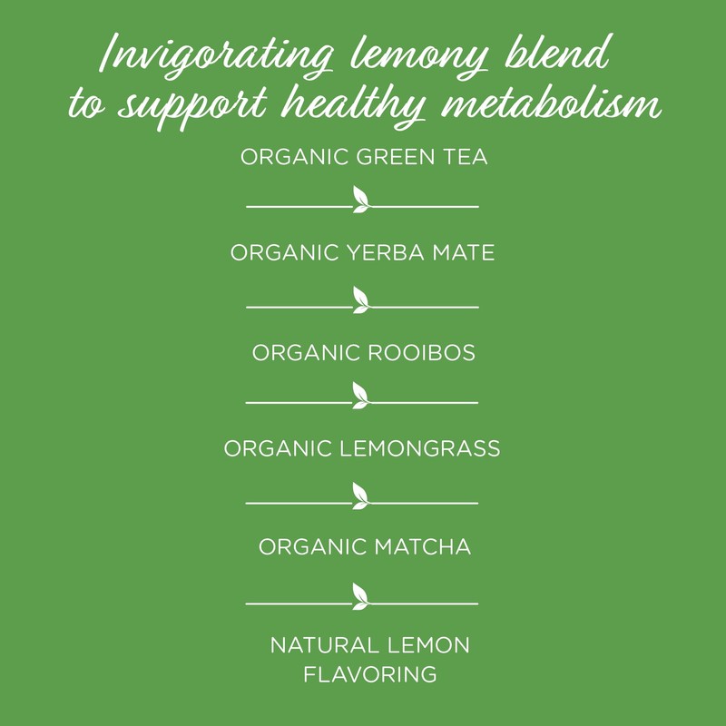 The Tea Spot Organic Keep Fit Green Tea with Yerba