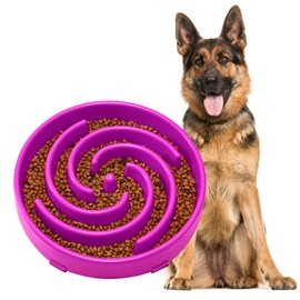 JASGOOD Slow Feeder Dogs Bowl for Large Medium Dogs,Anti-Gulping Pet Slower Food Feeding Bowls Stop Bloat,Preventing Choking