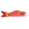 Clear Stone Children's Day Carp Streamer, Unisex, Red