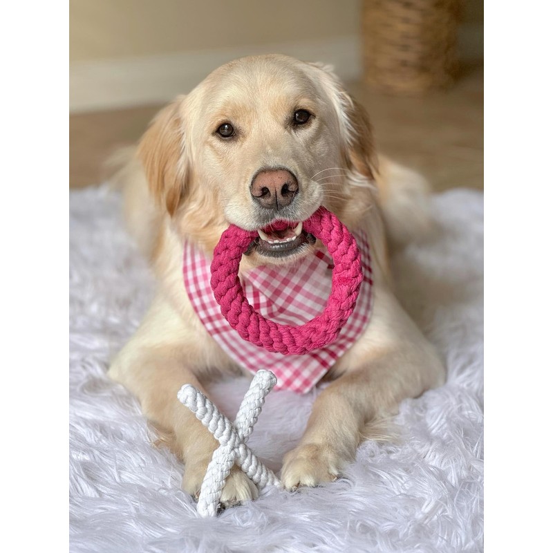 Midlee XO Valentine's Rope Dog Toy