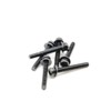 ReplacementScrews Stand Screws Compatible with LG 75UK6190PUB (75UK6190PUB.AUS)