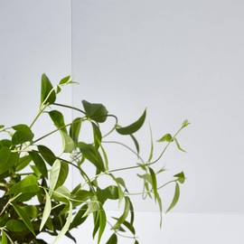 akurisande- Hard UPVC Plate Clear Type Sunday Seat 300 mm × 300 mm Thick 0.5 mm Clear 100 SS 0.5 