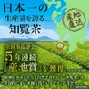 Chiran-cha 10004000-2 Deep Mushi Tea Chiran Midori Sai, 3.5 oz