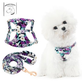 Dote on No Pull Dog Harness and Lead Set, Soft Adjustable Puppy Cat Harness, Floral/Plaid Escape Proof Pet Vest Harness for Extra Small/Small Medium Dogs, Dark Purple Flower, XXS