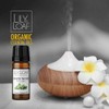 Lily & Loaf White Thyme Organic Essential Oil (Thymus vulgaris)