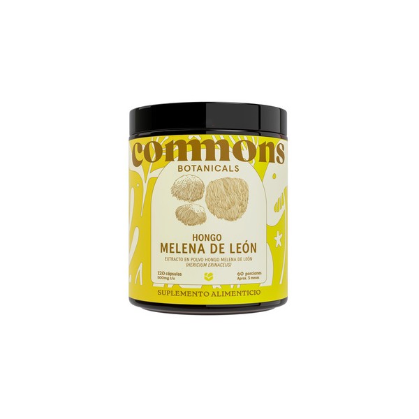 Commons Hongo Melena de León Extracto en Polvo Suplemento Alimenticio