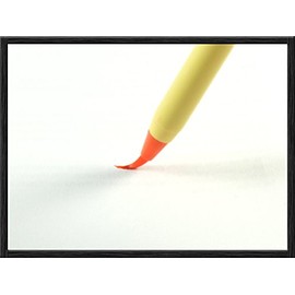 Zen Minded Japanese Calligraphy & Chinese Ink Shodo Brush-Pen - Red