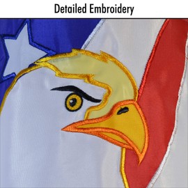 In the Breeze Patriot Eagle Windsock, 40-Inch