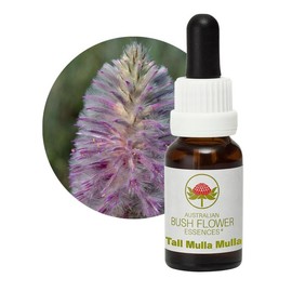 Tall Mulla Mulla 15 ml Stockbottle Australian Bush Flower Essences