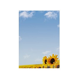 Summer Paper Writing Paper Sunflowers (50 Sheets DIN A4, 90 gsm, Great for Letters, Invitations, Menus, advertising Flyer, Small Posters and Businesses. For Laser and Inkjet Printers, copiers or writing by Hand