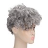 Curly Gray Short Afro Wig Synthetic Hairstyles Grey Black Short