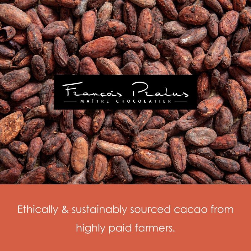 François Pralus Madagascar 75% Dark Chocolate 5 Pack - French