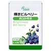 Lipsa Shine Bilberry C-136 (90 Capsules) Supplement, Anthocyanin, Polyphenols, Aging