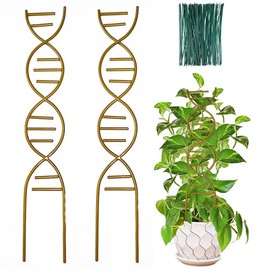 Indoor Plant Trellis for Climbing Plants, 16inch Small Garden Metal Trellis for Potted Plants Flower Pergola Suitable for Climbing Plants, for Vine Ivy Flower Plant Support (2 Pcs)