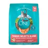 Purina ONE Purina ONE Natural Dry Cat Food, Tender Selects